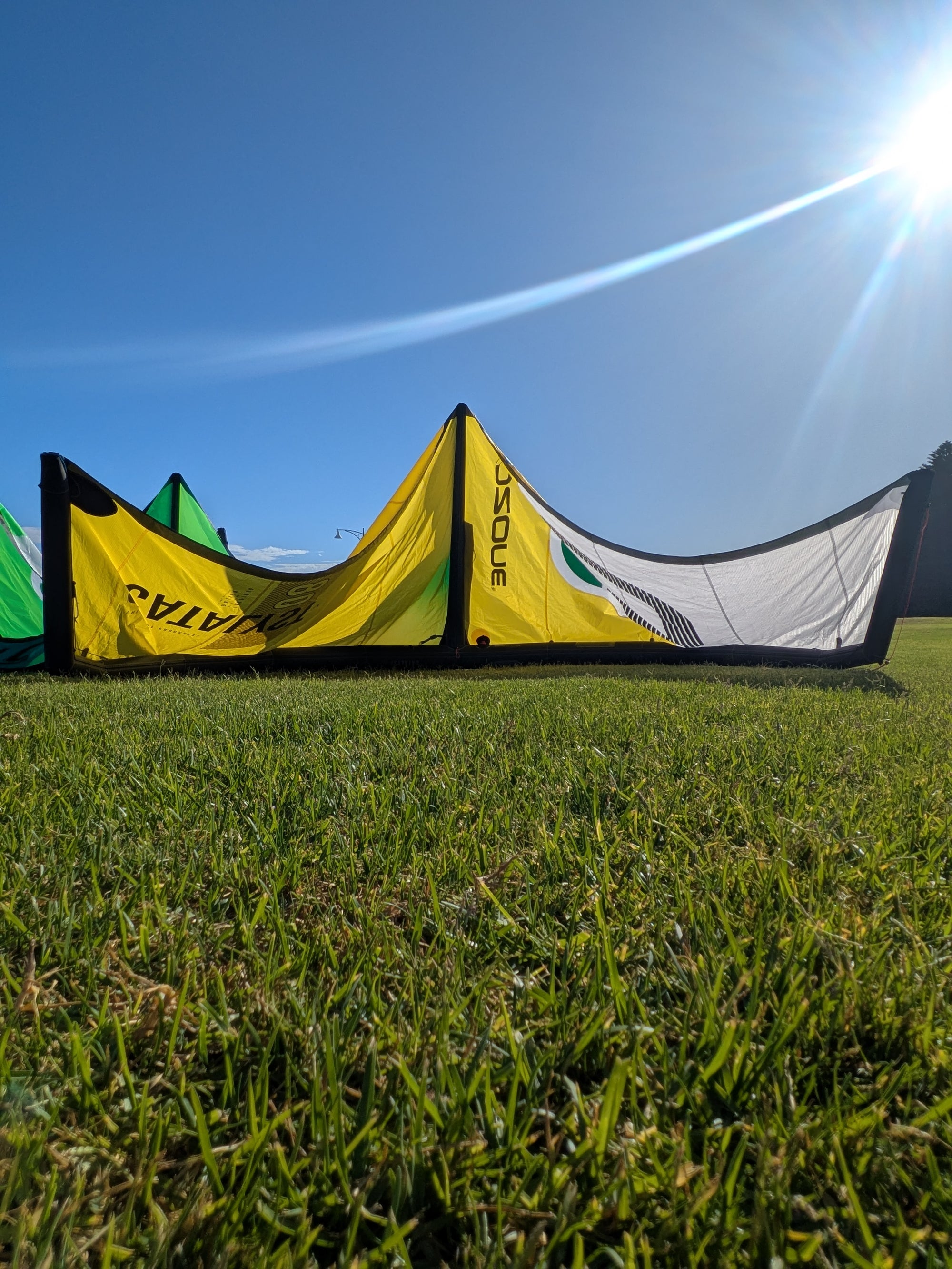 Ozone Catalyst V4 - DEMO